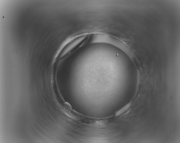 X0000063530056200602032147