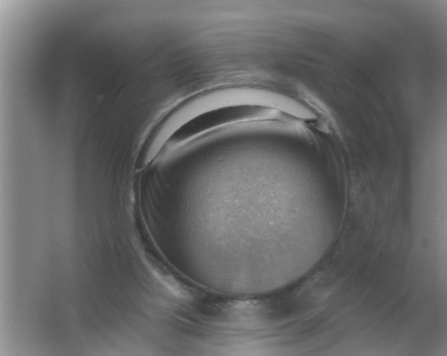 X0000063530059200602032147