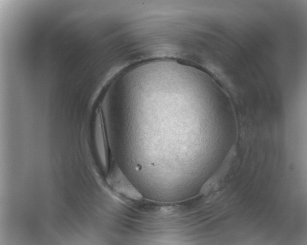 X0000063530060200602032147