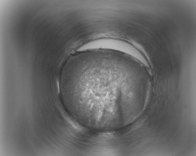 X0000063530061200602032147