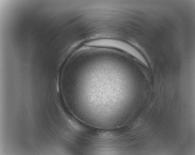 X0000063530062200602032147