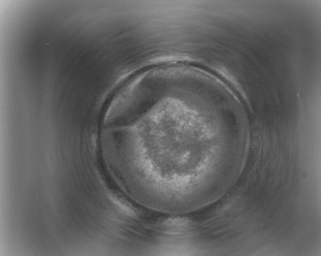 X0000063530063200602032147