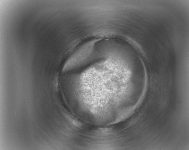 X0000063530065200602032147