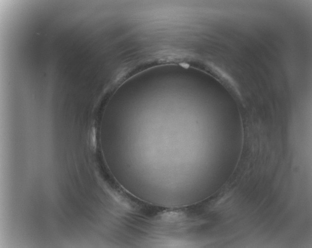 X0000063530067200602032147