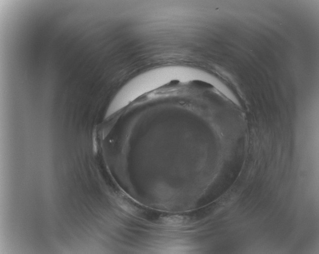 X0000063530069200602032147