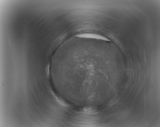 X0000063530070200602032147