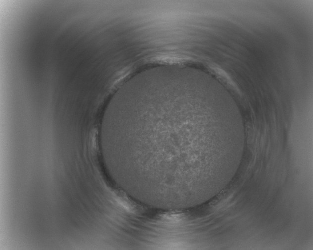 X0000063530071200602032147