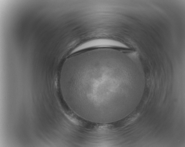 X0000063530072200602032147