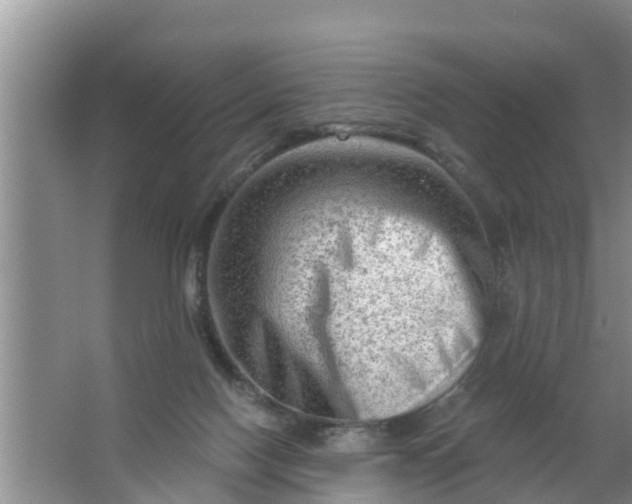 X0000063530074200602032147