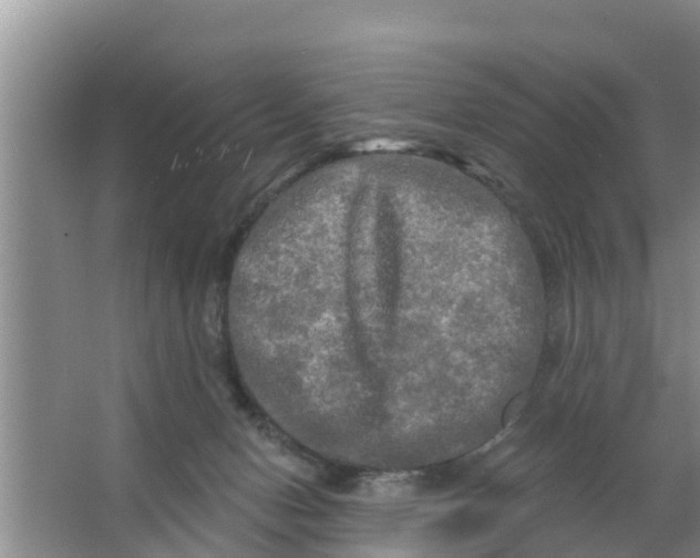 X0000063530078200602032147