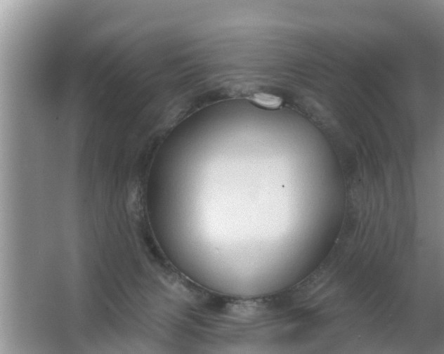 X0000063530079200602032147