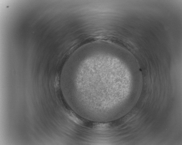 X0000063530081200602032147