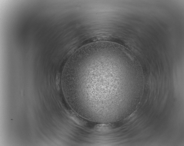 X0000063530082200602032147