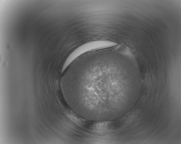 X0000063530084200602032147