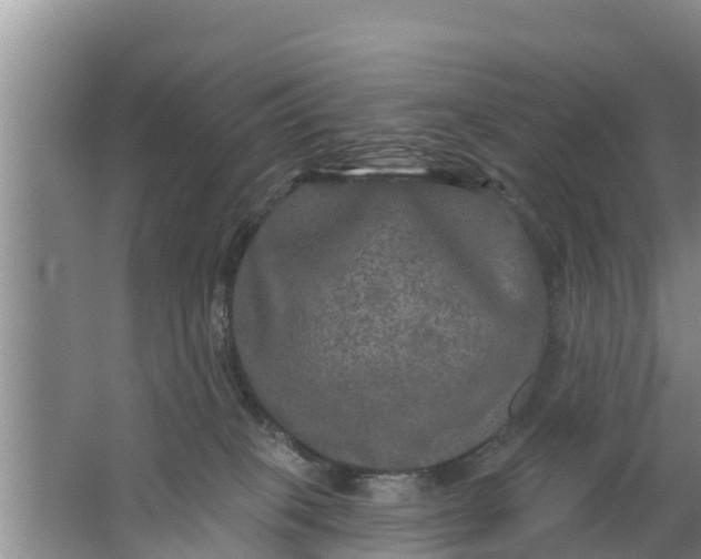 X0000063530085200602032147