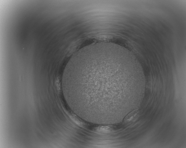 X0000063530086200602032147