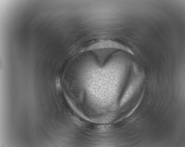 X0000063530089200602032147