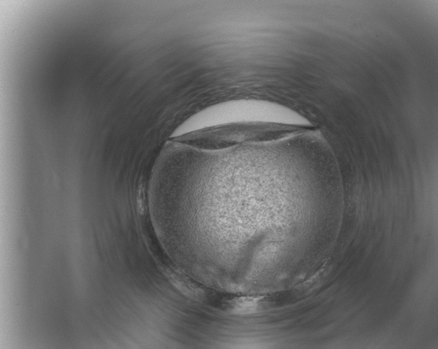 X0000063530090200602032147