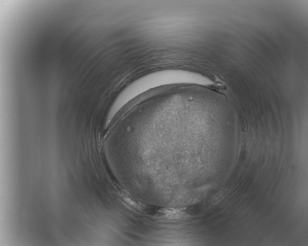 X0000063530093200602032147