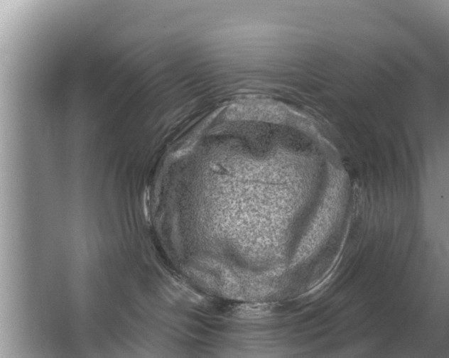 X0000063530094200602032147