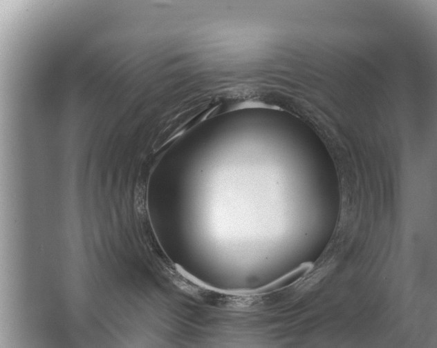 X0000063530096200602032147