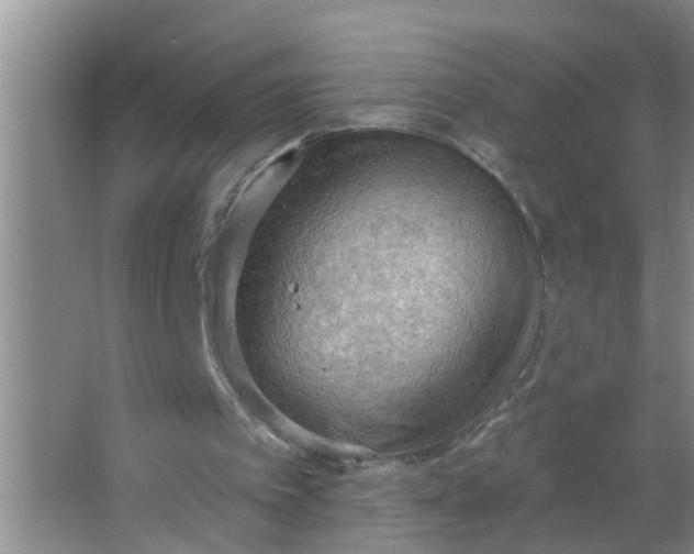 X0000063530097200602032146