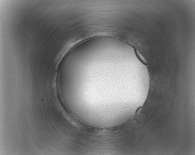 X0000063530098200602032146