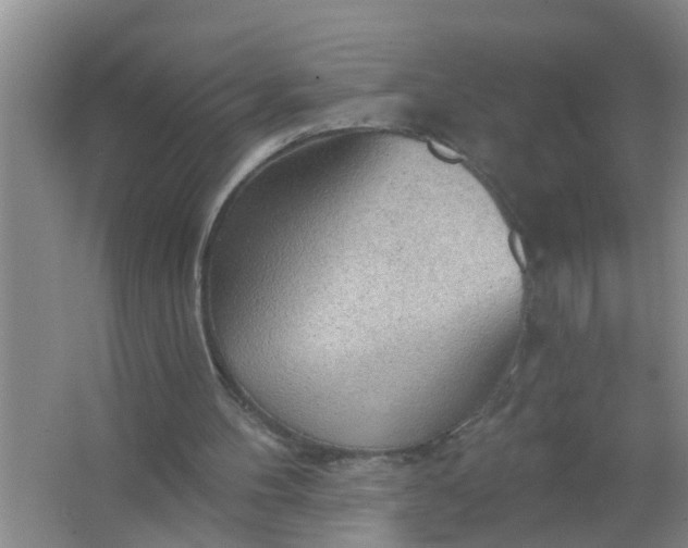 X0000063530100200602032146