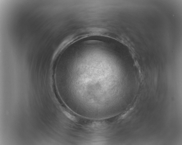 X0000063530101200602032146