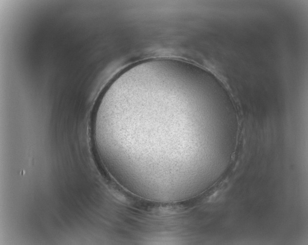 X0000063530103200602032146