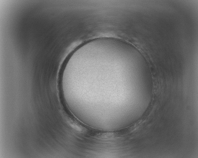 X0000063530104200602032146