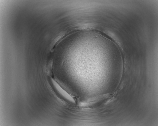 X0000063530105200602032146