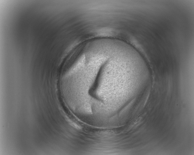 X0000063530106200602032146