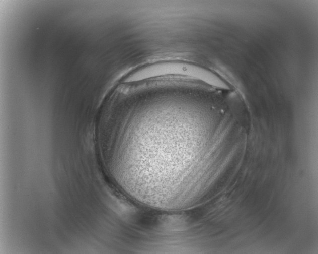 X0000063530107200602032146