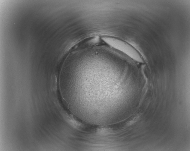 X0000063530109200602032146