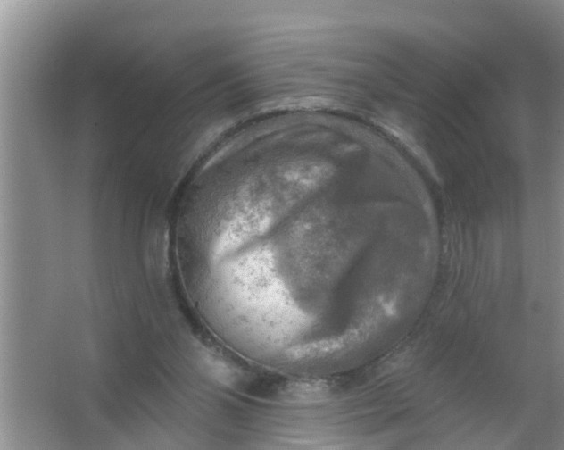 X0000063530110200602032146