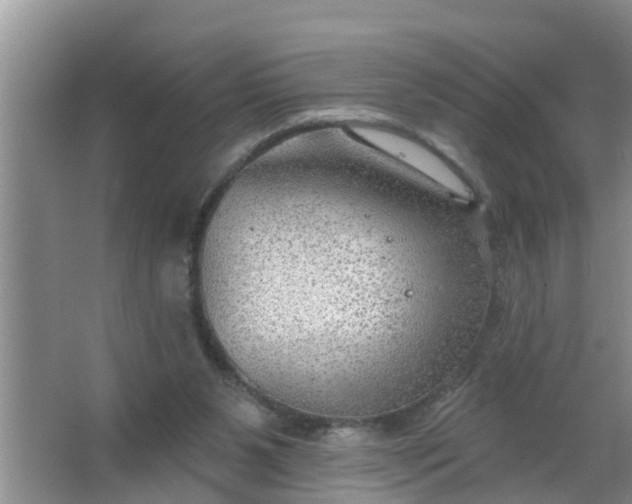 X0000063530111200602032146