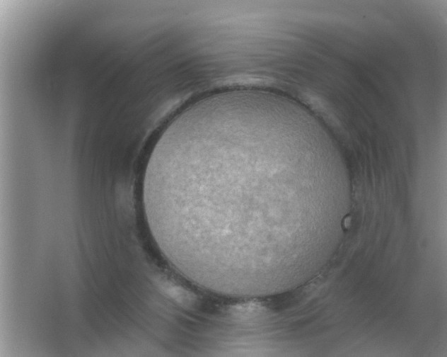 X0000063530112200602032146