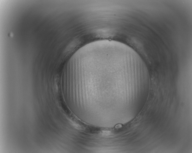 X0000063530114200602032146