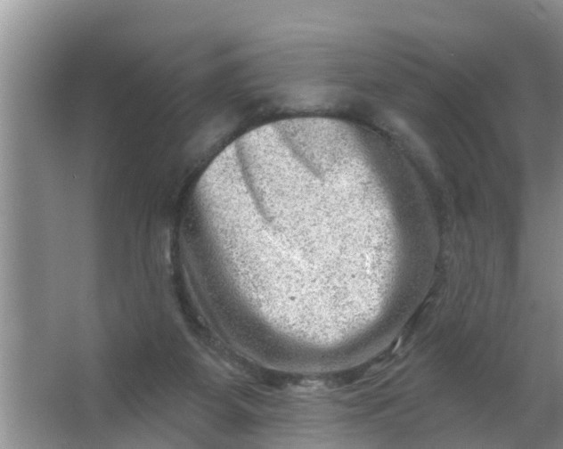 X0000063530115200602032146