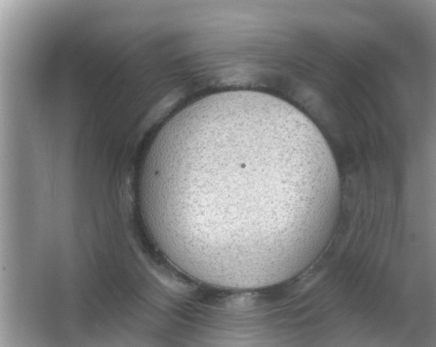 X0000063530116200602032146