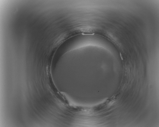 X0000063530117200602032146