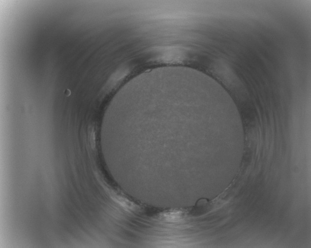 X0000063530120200602032146