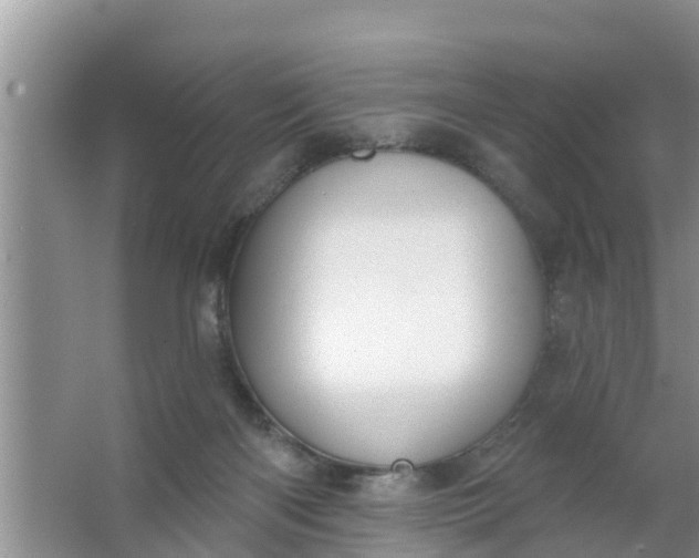 X0000063530122200602032146