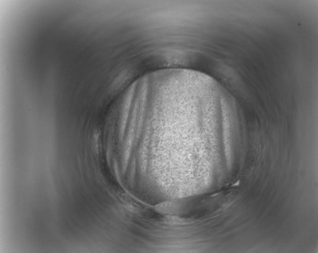 X0000063530123200602032146