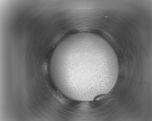 X0000063530124200602032146