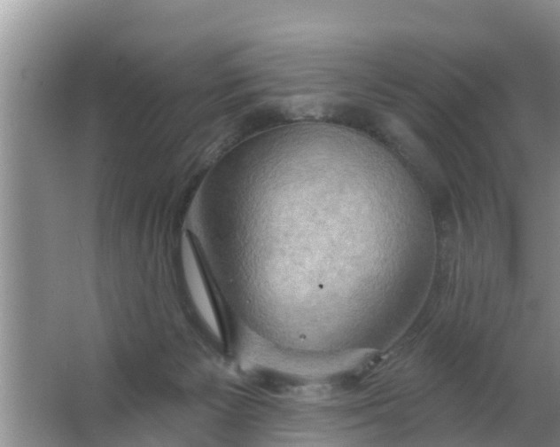 X0000063530125200602032146