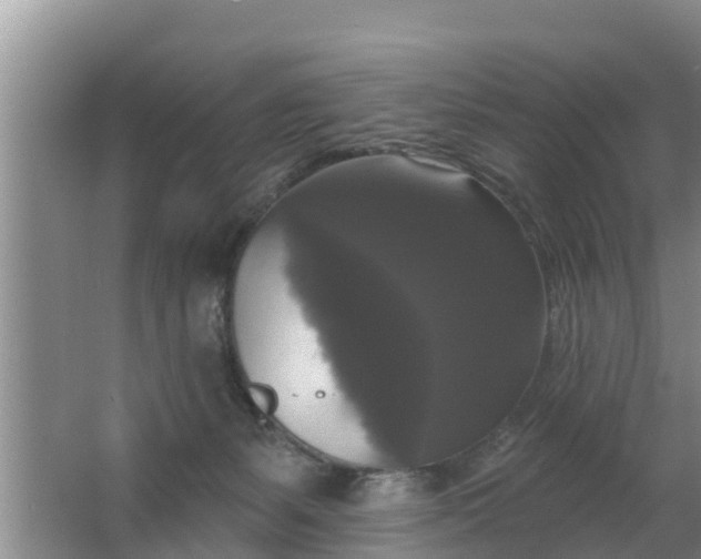 X0000063530127200602032146