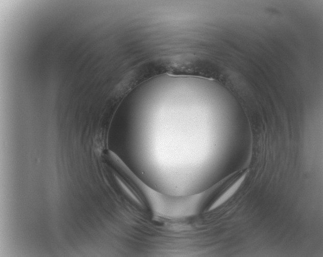 X0000063530129200602032146