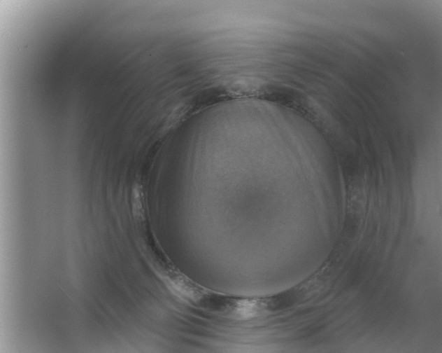 X0000063530130200602032146